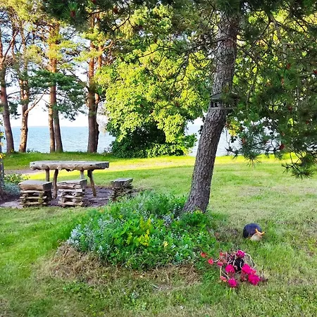 Mereliivatee Apartament